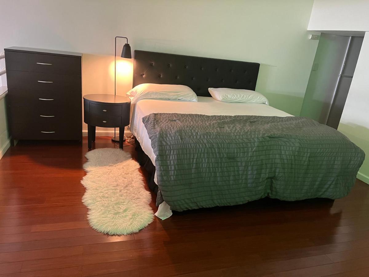 Full Loft-Style Apartment Near Omni 纽黑文 外观 照片